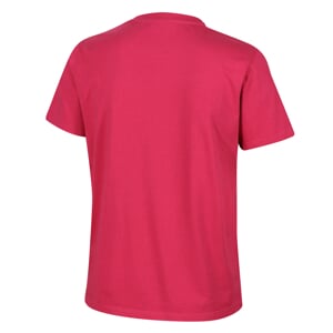 INOV-8 GRAPHIC TEE "Ridge" W