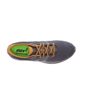 INOV8 ROCLITE 315 GTX v2 M