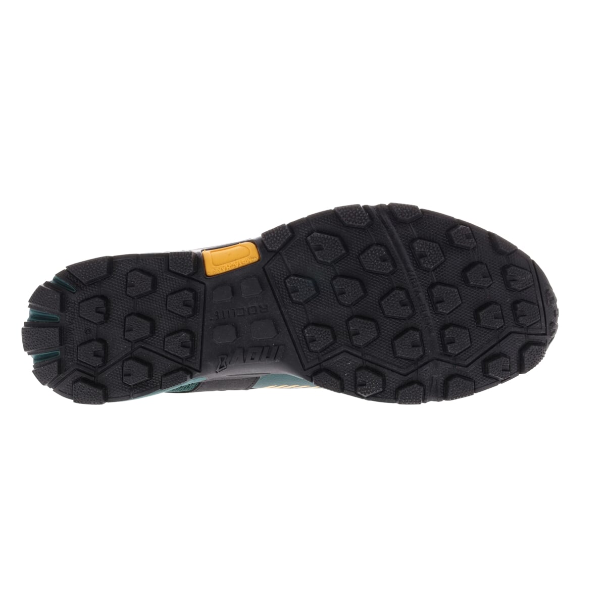 INOV-8 ROCLITE 315 GTX v2 M